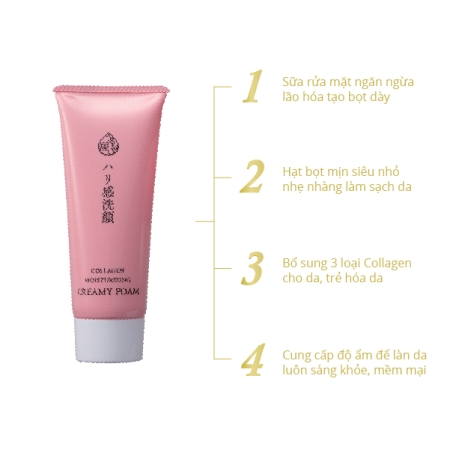 Sữa Rửa Mặt Naris Cosmetics Ngăn Ngừa Lão Hóa 100g Collagen Moisturizing Creamy Foam