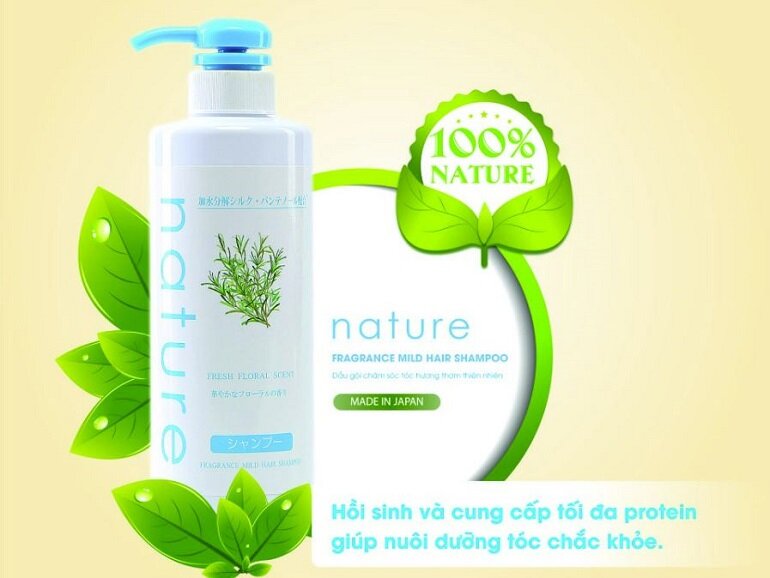 Nature Shampoo chăm sóc da đầu và chân tóc